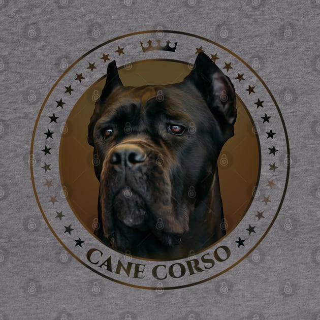 Cane Corso - Italian Mastiff by Nartissima